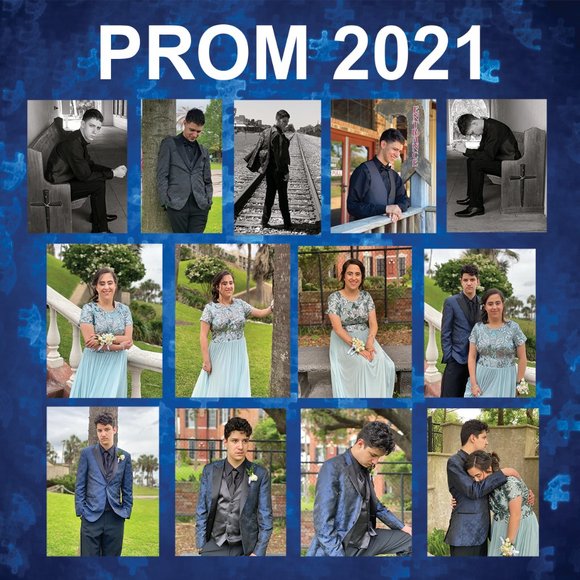 Meet your Posher, Barbara & her Crew (July 2021) - Picture 2 of 3